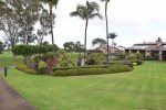 Green space all around